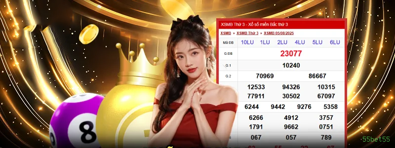 Programa VIP exclusivo da 55bet55